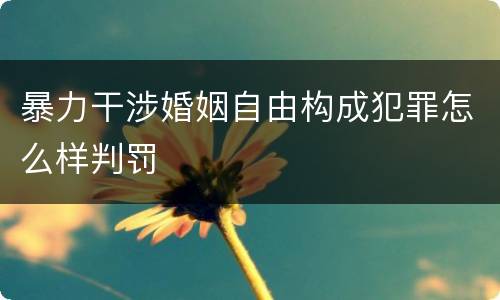 暴力干涉婚姻自由构成犯罪怎么样判罚