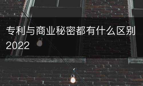 专利与商业秘密都有什么区别2022