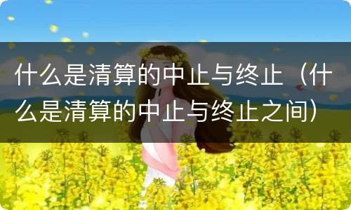什么是清算的中止与终止（什么是清算的中止与终止之间）