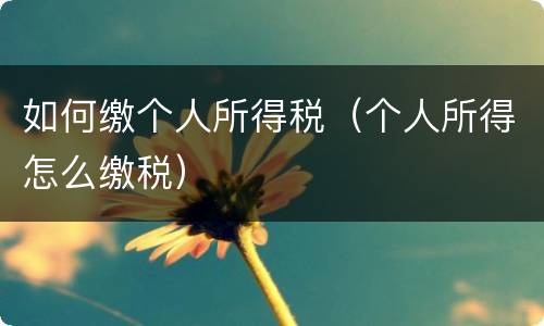 如何缴个人所得税（个人所得怎么缴税）
