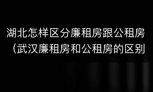 湖北怎样区分廉租房跟公租房（武汉廉租房和公租房的区别）