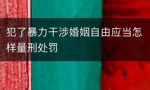 犯了暴力干涉婚姻自由应当怎样量刑处罚