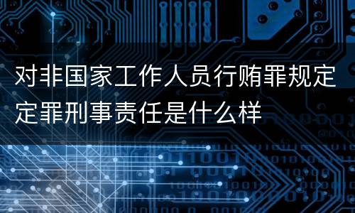 对非国家工作人员行贿罪规定定罪刑事责任是什么样