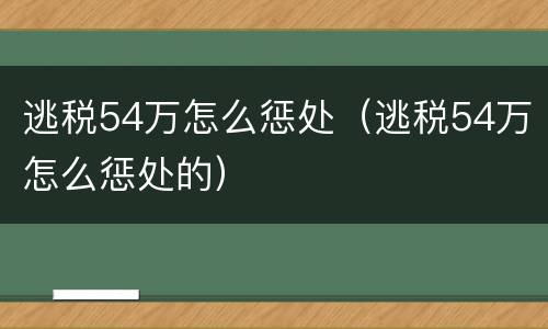 逃税54万怎么惩处（逃税54万怎么惩处的）