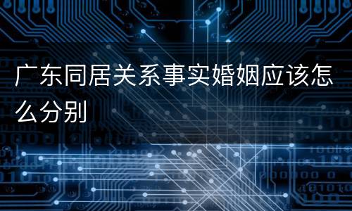 广东同居关系事实婚姻应该怎么分别