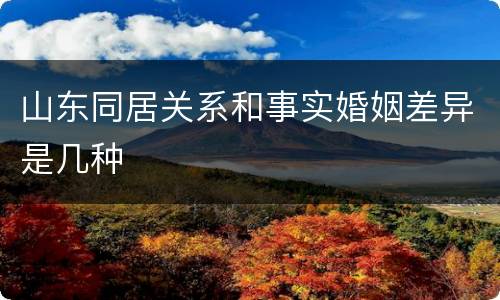 山东同居关系和事实婚姻差异是几种