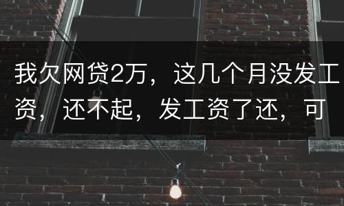我欠网贷2万，这几个月没发工资，还不起，发工资了还，可以吗