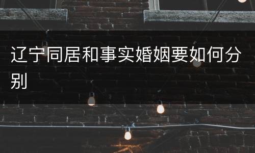 辽宁同居和事实婚姻要如何分别