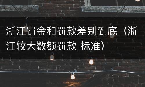 浙江罚金和罚款差别到底（浙江较大数额罚款 标准）