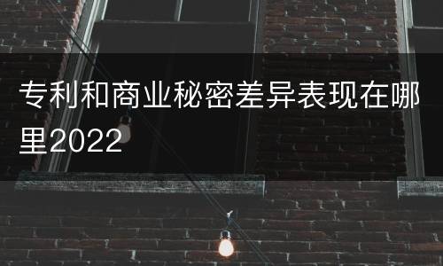 专利和商业秘密差异表现在哪里2022