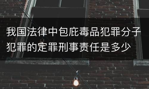 我国法律中包庇毒品犯罪分子犯罪的定罪刑事责任是多少