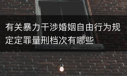 有关暴力干涉婚姻自由行为规定定罪量刑档次有哪些