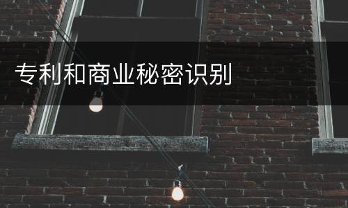 专利和商业秘密识别