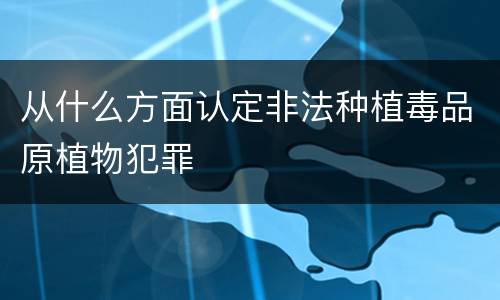 从什么方面认定非法种植毒品原植物犯罪