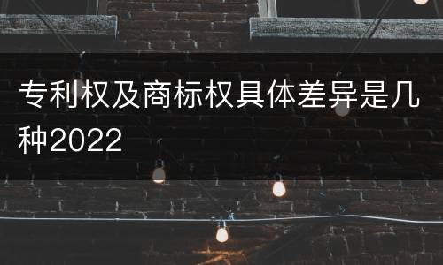 专利权及商标权具体差异是几种2022
