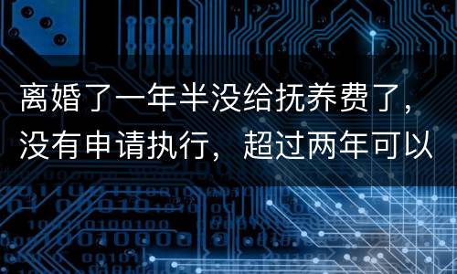 离婚了一年半没给抚养费了，没有申请执行，超过两年可以申请强制执行吗