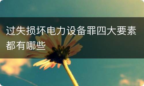过失损坏电力设备罪四大要素都有哪些