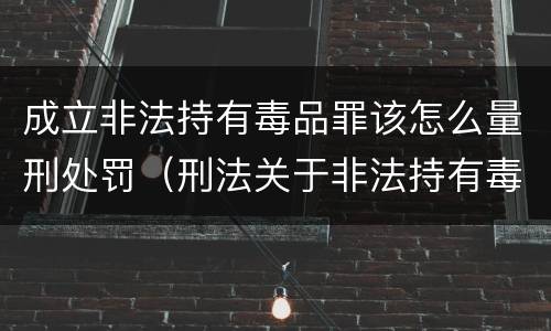 成立非法持有毒品罪该怎么量刑处罚（刑法关于非法持有毒品罪的规定）