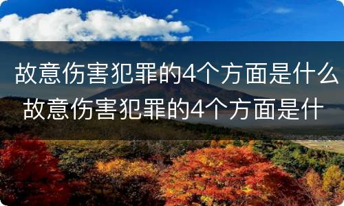 故意伤害犯罪的4个方面是什么 故意伤害犯罪的4个方面是什么内容