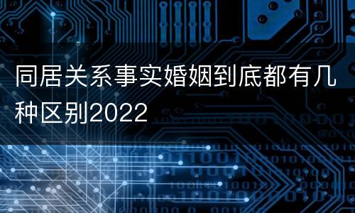 同居关系事实婚姻到底都有几种区别2022