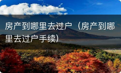 房产到哪里去过户（房产到哪里去过户手续）