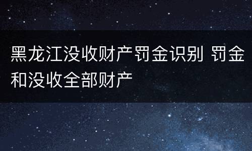 黑龙江没收财产罚金识别 罚金和没收全部财产