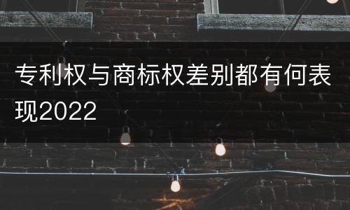 专利权与商标权差别都有何表现2022