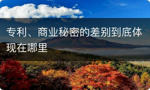 专利、商业秘密的差别到底体现在哪里