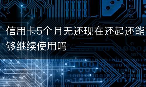 信用卡5个月无还现在还起还能够继续使用吗