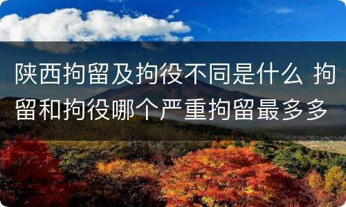 陕西拘留及拘役不同是什么 拘留和拘役哪个严重拘留最多多少天