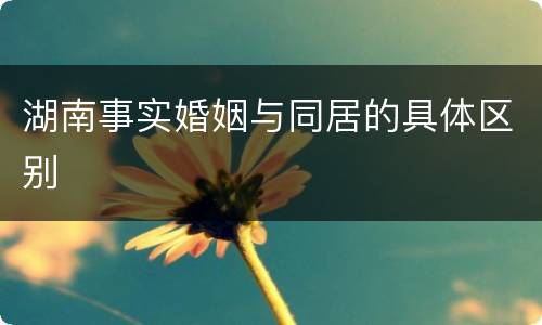 湖南事实婚姻与同居的具体区别