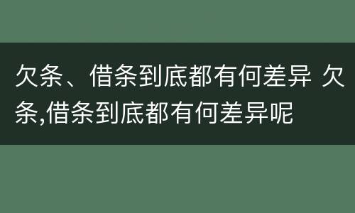 欠条、借条到底都有何差异 欠条,借条到底都有何差异呢