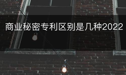 商业秘密专利区别是几种2022