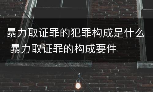 暴力取证罪的犯罪构成是什么 暴力取证罪的构成要件
