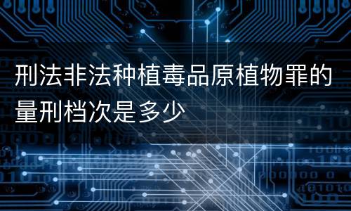 刑法非法种植毒品原植物罪的量刑档次是多少