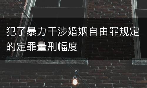 犯了暴力干涉婚姻自由罪规定的定罪量刑幅度