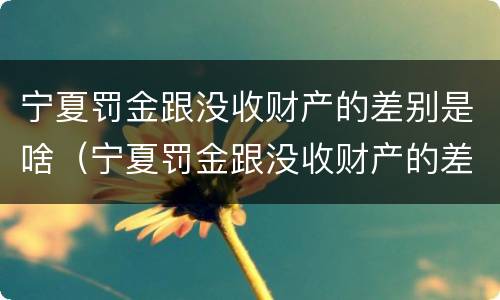 宁夏罚金跟没收财产的差别是啥（宁夏罚金跟没收财产的差别是啥呢）
