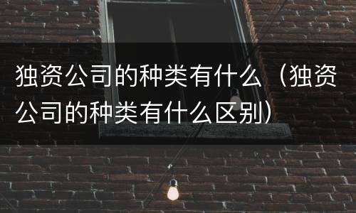独资公司的种类有什么（独资公司的种类有什么区别）