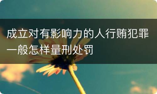 成立对有影响力的人行贿犯罪一般怎样量刑处罚