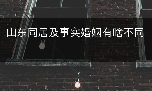 山东同居及事实婚姻有啥不同