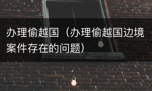 办理偷越国（办理偷越国边境案件存在的问题）