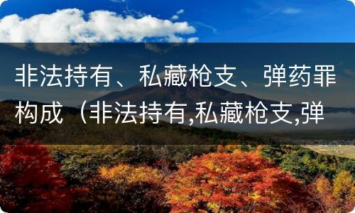 非法持有、私藏枪支、弹药罪构成（非法持有,私藏枪支,弹药罪构成要件）