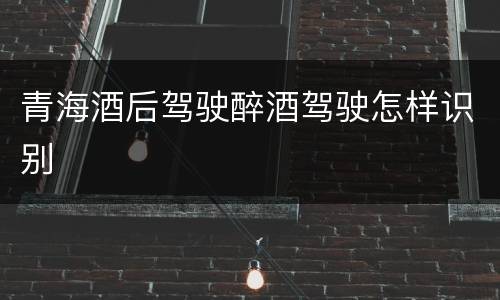 青海酒后驾驶醉酒驾驶怎样识别