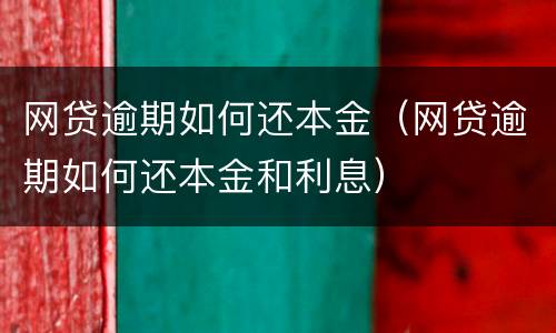 网贷逾期如何还本金（网贷逾期如何还本金和利息）