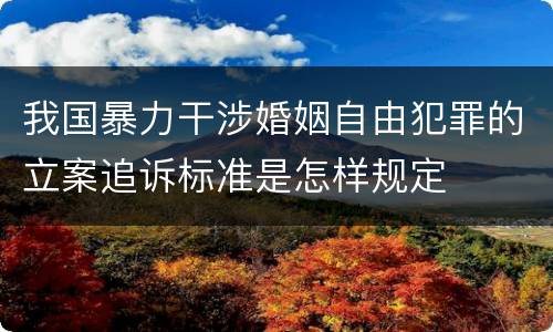 我国暴力干涉婚姻自由犯罪的立案追诉标准是怎样规定