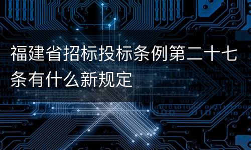 福建省招标投标条例第二十七条有什么新规定