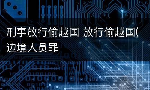 刑事放行偷越国 放行偷越国(边境人员罪