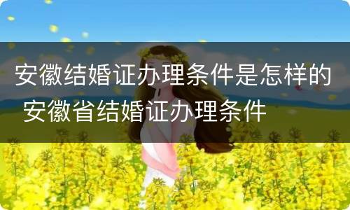 安徽结婚证办理条件是怎样的 安徽省结婚证办理条件