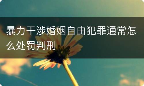 暴力干涉婚姻自由犯罪通常怎么处罚判刑