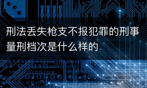刑法丢失枪支不报犯罪的刑事量刑档次是什么样的